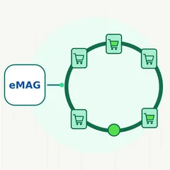 Hartă conceptuală a marketplace-urilor din România, cu pachete conectate la șase vitrine digitale