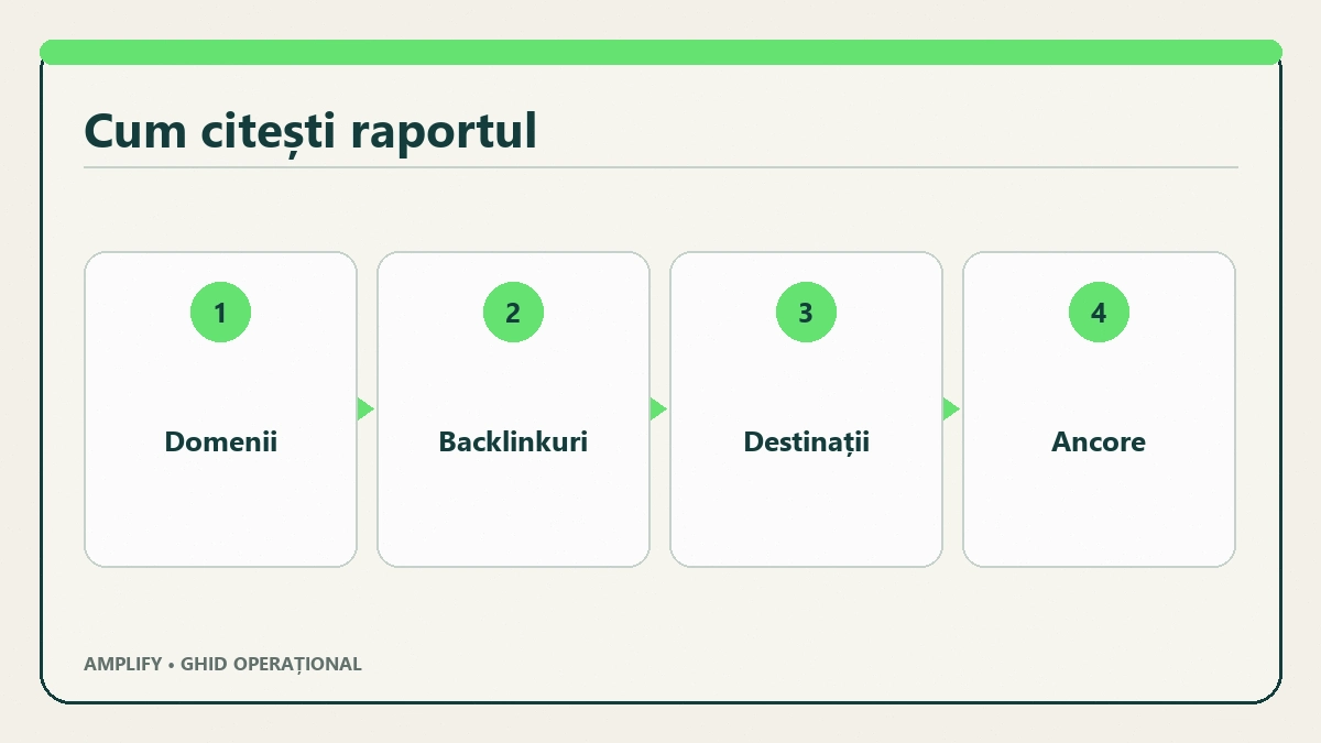 Câmpurile principale dintr-un raport de backlinkuri